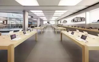 家電零售店回頭客超六成，口碑與服務(wù)鑄就穩(wěn)固客群